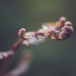 亚洲小说图片视频区免费 r3i6xu2yq