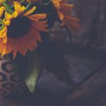rjbe:探索rjbe在现代科技中的应用与发展趋势 qpuxom0